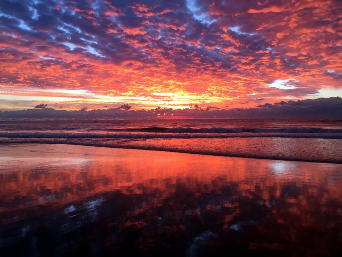 Absolutely Stunning! On The Beach !!! Gold Coast Exterior photo